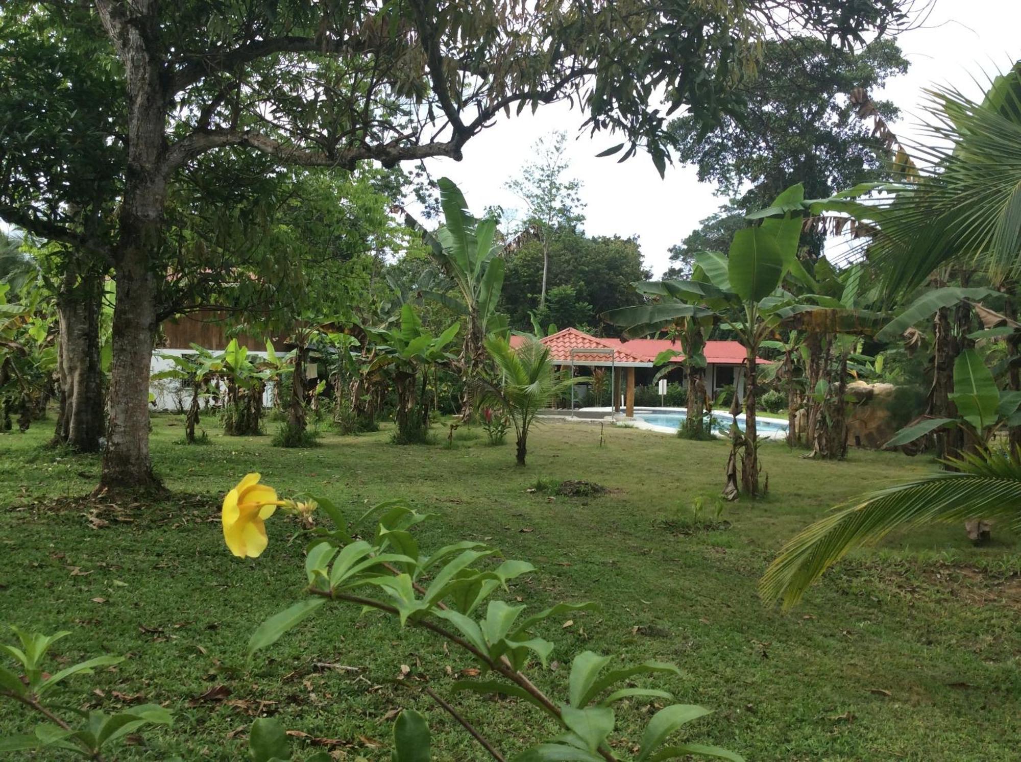 Cabinas Los Tucanes Cahuita Esterno foto