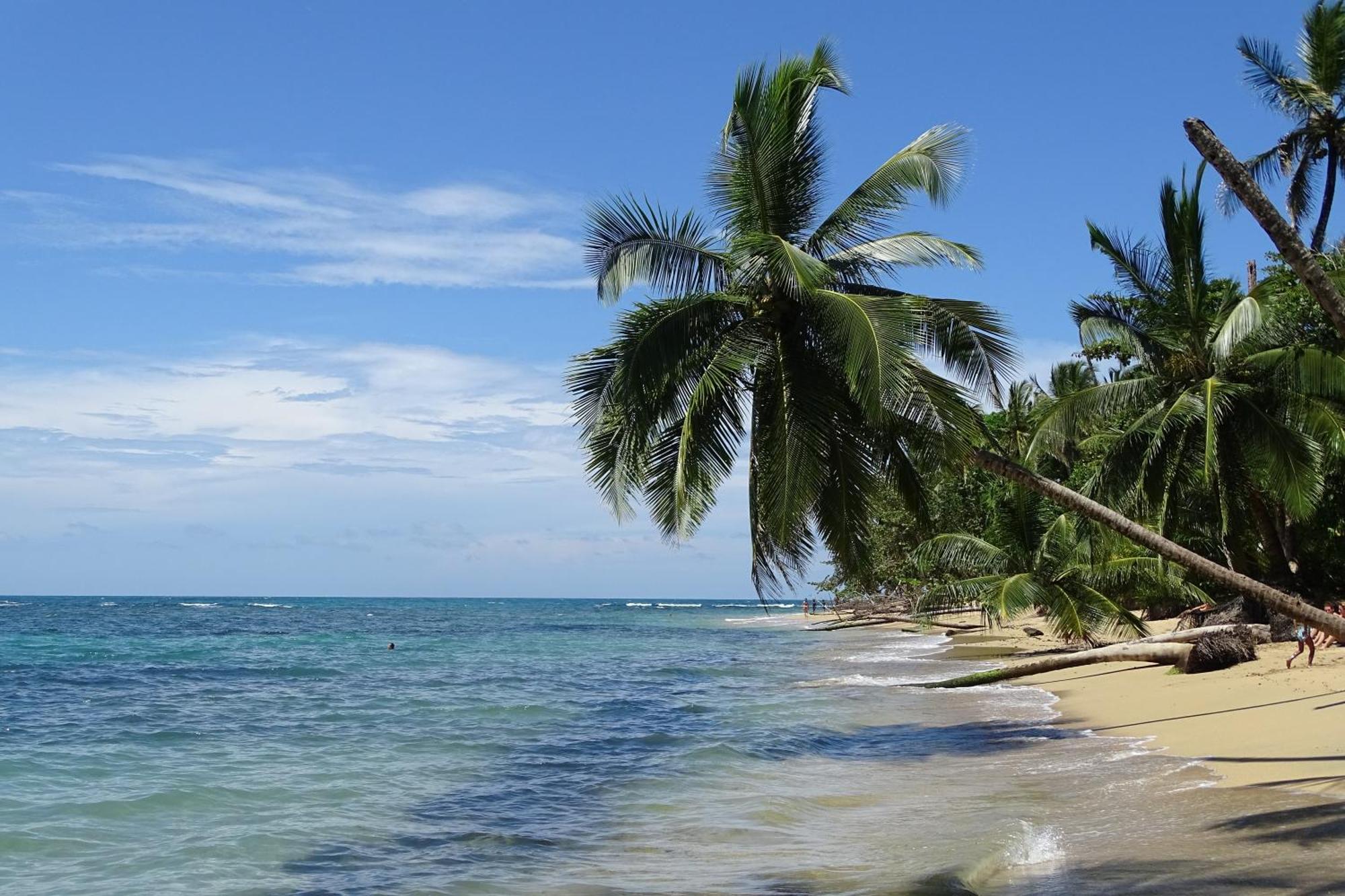 Cabinas Los Tucanes Cahuita Esterno foto