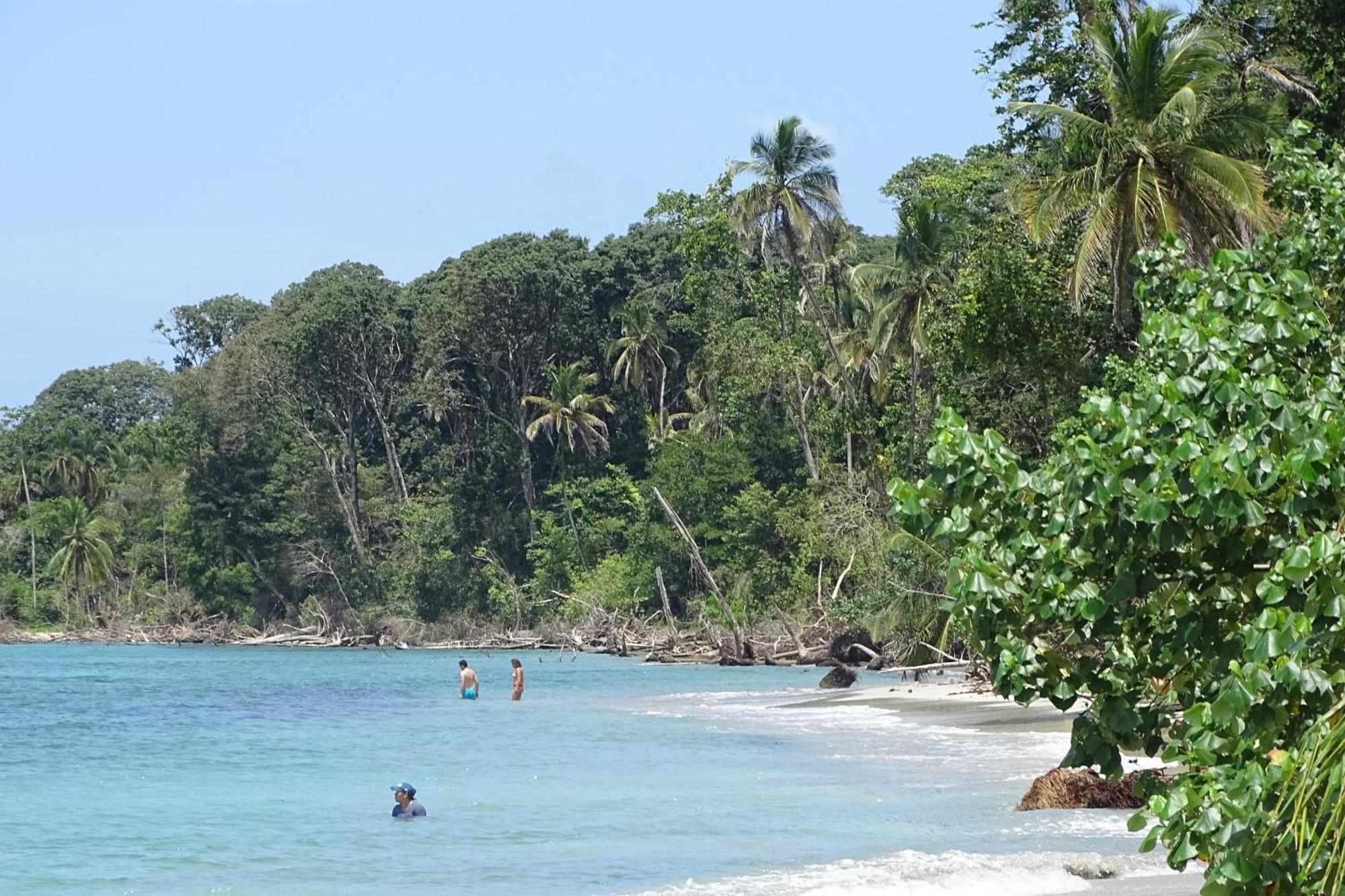 Cabinas Los Tucanes Cahuita Esterno foto
