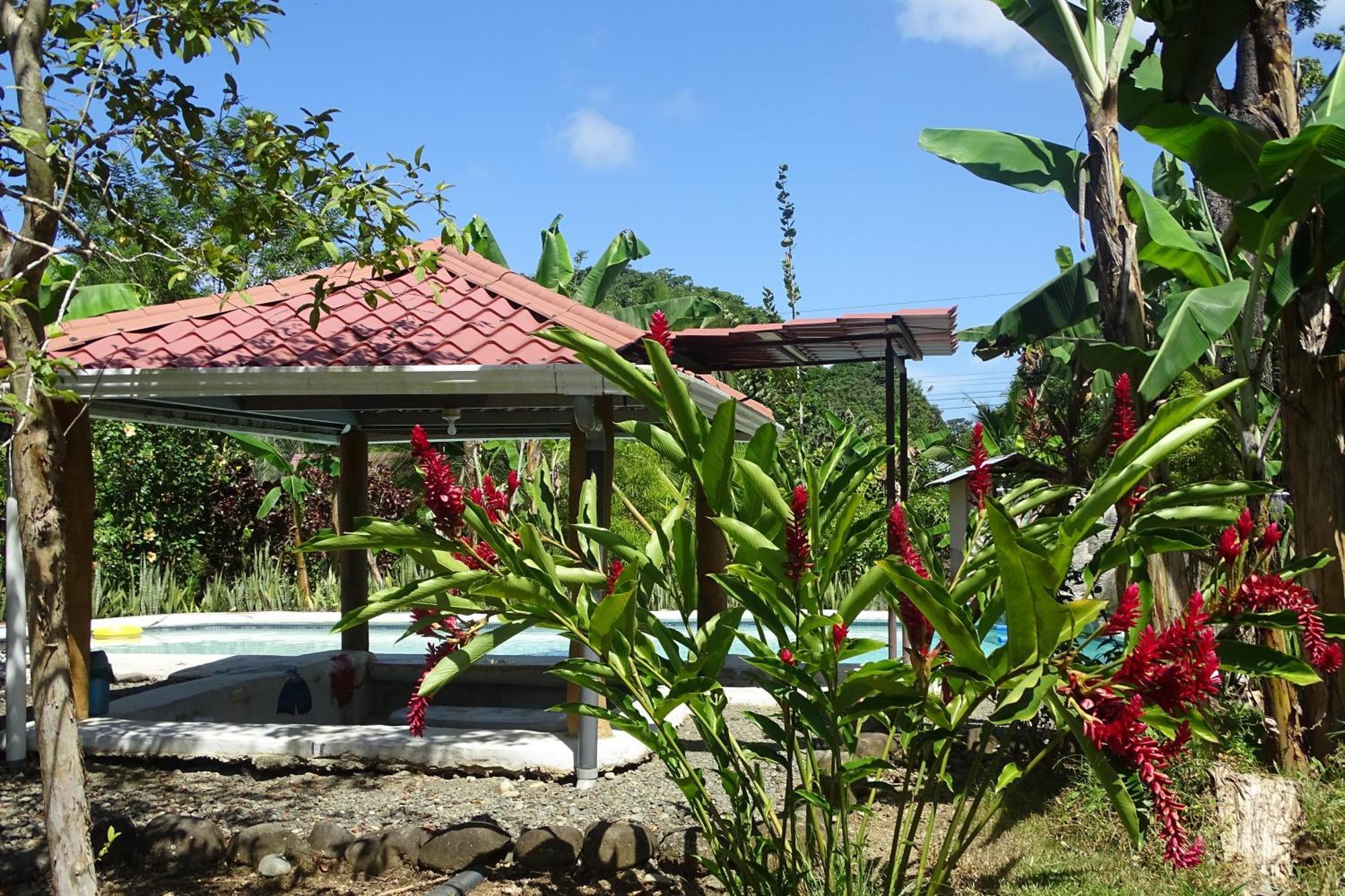 Cabinas Los Tucanes Cahuita Esterno foto
