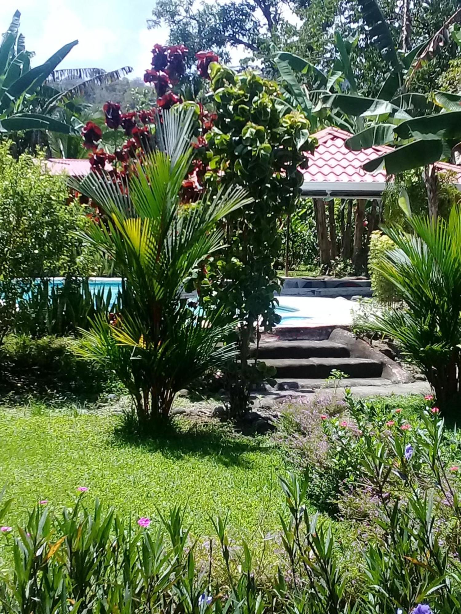 Cabinas Los Tucanes Cahuita Esterno foto